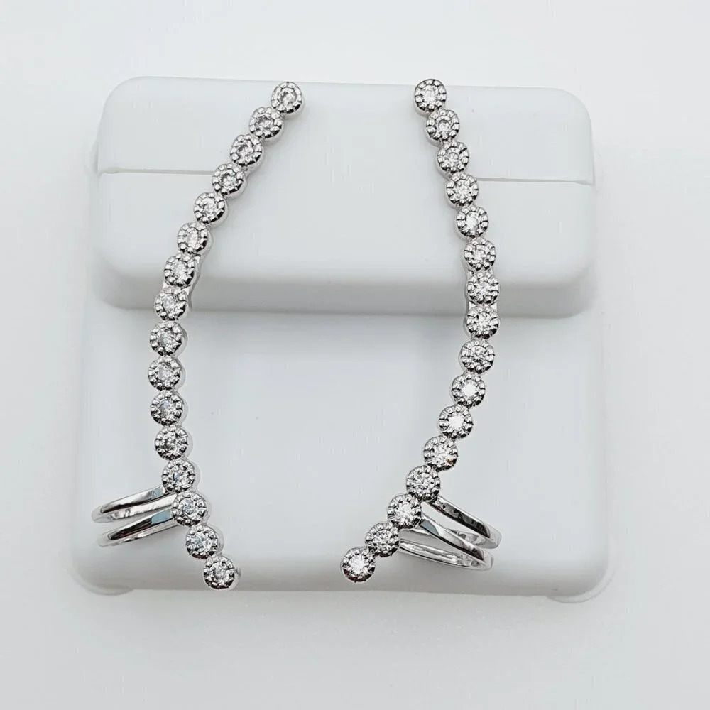 "925 Sterling Silver Plated CZ Earrings, EVBRS422